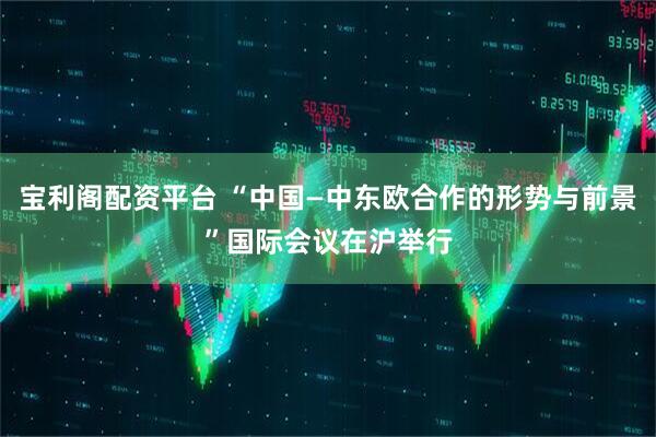 宝利阁配资平台 “中国—中东欧合作的形势与前景”国际会议在沪举行