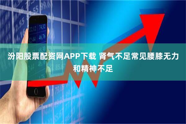 汾阳股票配资网APP下载 肾气不足常见腰膝无力和精神不足